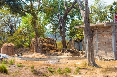 Hindistan 'da tipik bir samanlık. Samanlık ve çiftçinin evi. Hint çiftlik evinin dışındaki samanlıkta geleneksel Hint usulü kuru saman koleksiyonu..