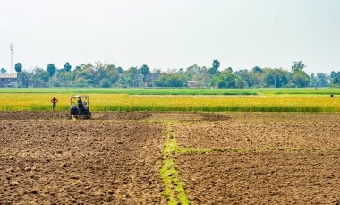 Hindistan 'ın kırsal kesiminden sonraki tarımsal arazi manzarası açık gökyüzü arka planına karşı.