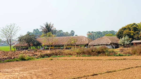 Reetgedeckte Häuser Einer Reihe Auf Einem Landwirtschaftlichen Feld Vor Einem — Stockfoto