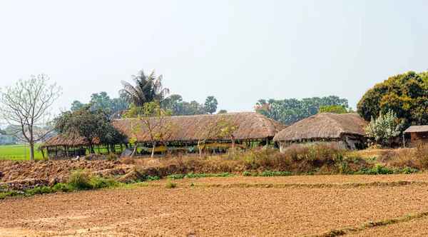 Reetgedeckte Häuser Einer Reihe Auf Einem Landwirtschaftlichen Feld Vor Einem — Stockfoto