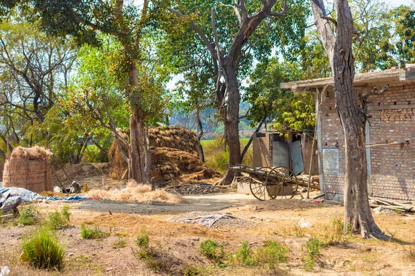 インドの典型的なハイロフト ヘイスタックと農家の家だ 田舎のインドの農家の外の干し草の伝統的なインドの方法で乾燥した干し草のコレクション — ストック写真