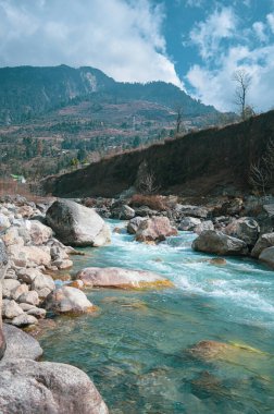Rocky himalayan Dağ Vadisi 'nde akan Rock Creek nehri. Teasta Nehri kolları. Dikey Resim. Sikkim Batı Bengal Hindistan Güney Asya Pasifik.