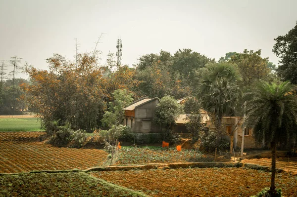 Αγροτικό Τοπίο Village Στην Αγροτική Βεγγάλη Barddhaman Δυτική Βεγγάλη Ινδία — Φωτογραφία Αρχείου