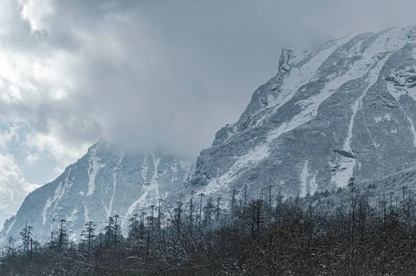 Winter Cloudy Foggy Mountain Landscape. Snow-covered mountain covered with floating rainy clouds.