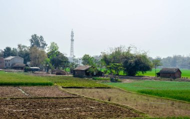 Açık gökyüzü arka planına karşı tarımsal alanda bir çiftçi kulübesi.