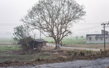 Kırsal bir köyde ağaç yolu. Yaz manzarası. Hindistan kırsalında. Bankura Batı Bengal Hindistan Güney Asya Pasifik