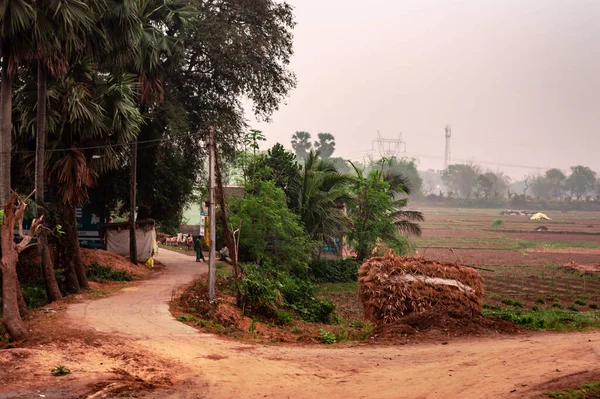 Διαμορφωμένο Χωματόδρομο Ενός Αγροτικού Χωριού Θερινό Τοπίο Αγροτική Ινδία Bankura — Φωτογραφία Αρχείου