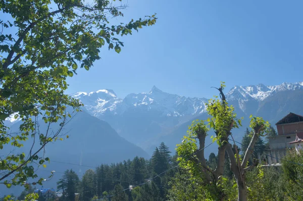 Besneeuwde Bergketen Tegen Blauwe Lucht Achtergrond Met Omlijstende Bomen Voorgrond — Stockfoto