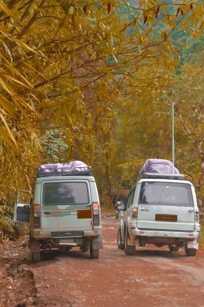Sonbahar Ormanı Arka Planında Bir Yolda Turist Arabaları Dikey Resim — Stok fotoğraf