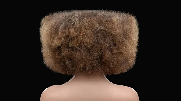 여자의 뒷모습 곱슬머리에 배경에 고립되다 — 스톡 사진