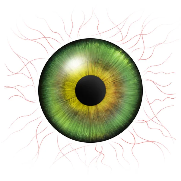 Gözler Kan Damarları Olan Insan Iris Göz Çizimi Yeşil Göz — Stok fotoğraf