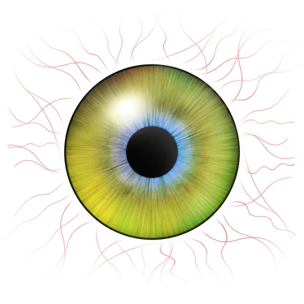 Gözler Kan Damarları Olan Insan Iris Göz Çizimi Sarı Göz — Stok fotoğraf
