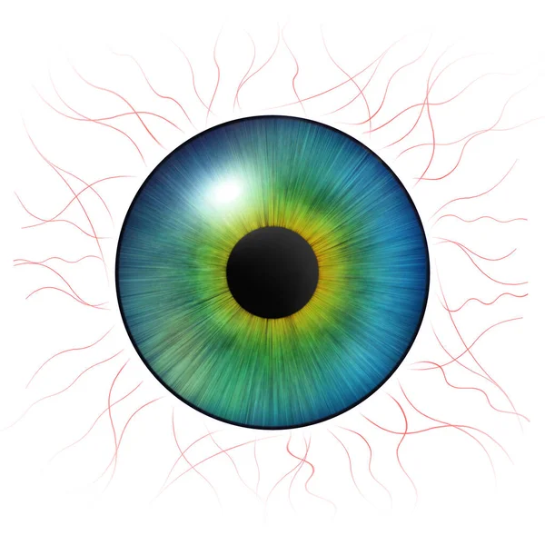 Olhos Íris Íris Humana Com Veias Sanguíneas Ilustração Olho Olho — Fotografia de Stock