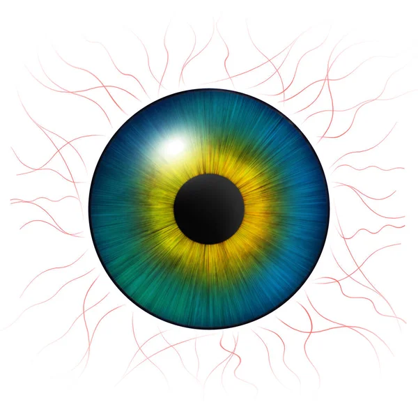 Ojos Iris Iris Humano Con Venas Sanguíneas Ilustración Ocular Ojo — Foto de Stock