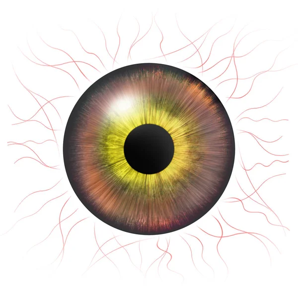 Gözler Kan Damarları Olan Insan Iris Göz Çizimi Çok Renkli — Stok fotoğraf