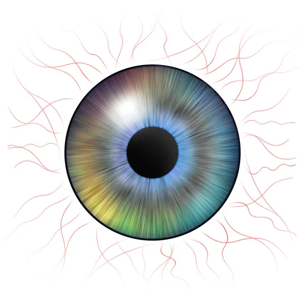 Gözler Kan Damarları Olan Insan Iris Göz Çizimi Beyaz Arka — Stok fotoğraf
