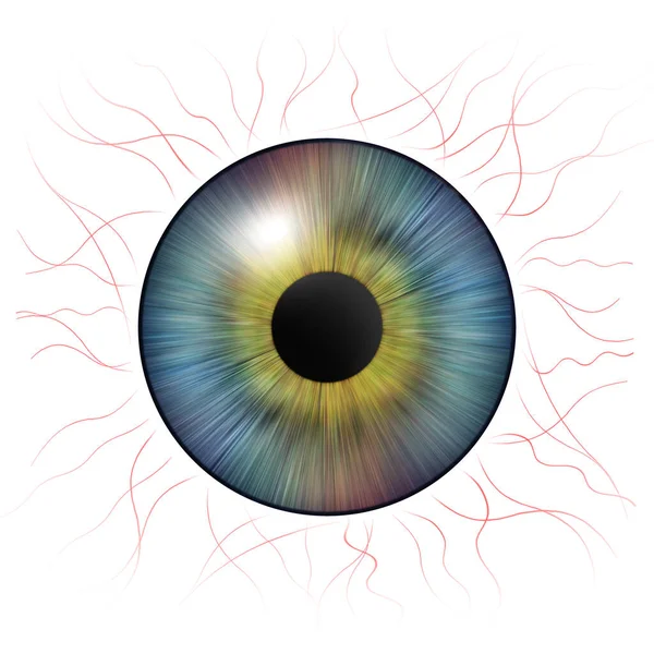Gözler Kan Damarları Olan Insan Iris Göz Çizimi Beyazın Üzerinde — Stok fotoğraf