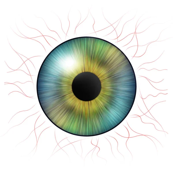 Iris Ögon Mänsklig Iris Med Blodådror Ögonillustration Kreativ Digital Grafisk — Stockfoto