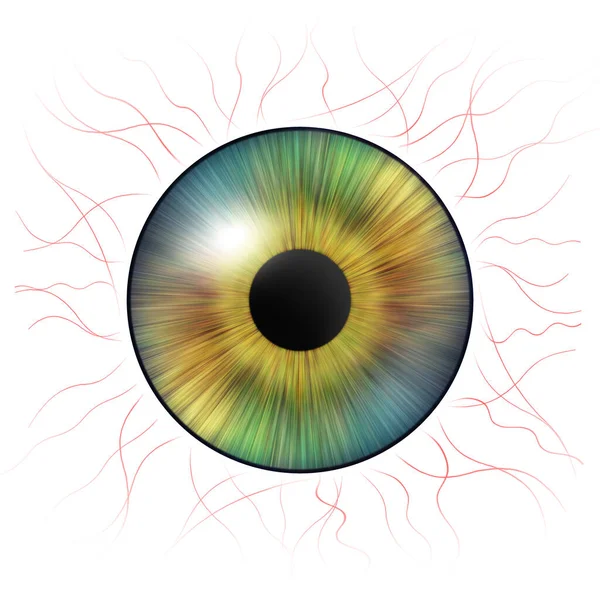 Gözler Kan Damarları Olan Insan Iris Göz Yanılsaması Yaratıcı Dijital — Stok fotoğraf