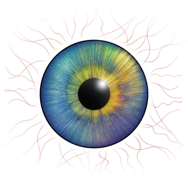 Глаза Айрис Ирис Человека Венами Крови Иллюстрация Глаз Творческий Цифровой — стоковое фото