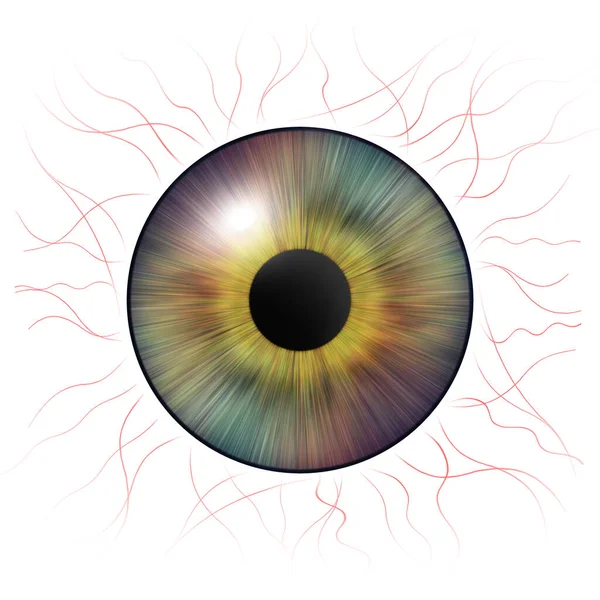 Gözler Kan Damarları Olan Insan Iris Göz Yanılsaması Yaratıcı Dijital — Stok fotoğraf
