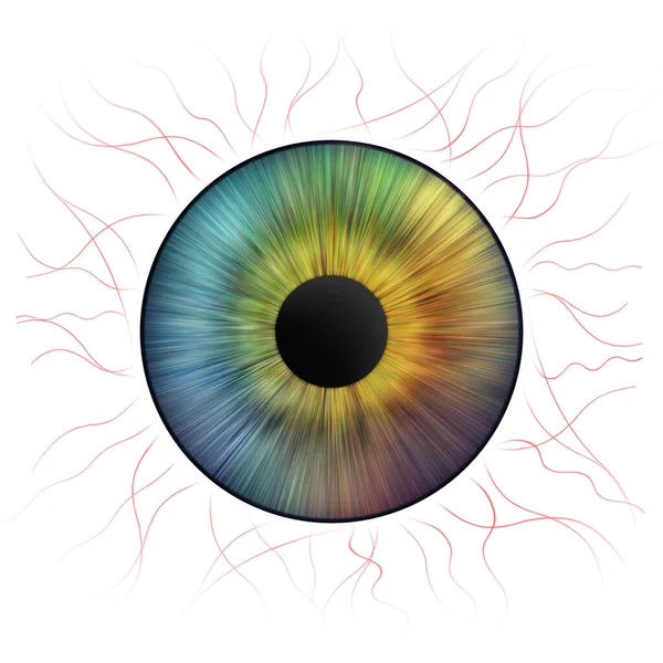 Iris Ogen Menselijke Iris Met Bloedvaten Oogillustratie Creatief Digitaal Grafisch — Stockfoto