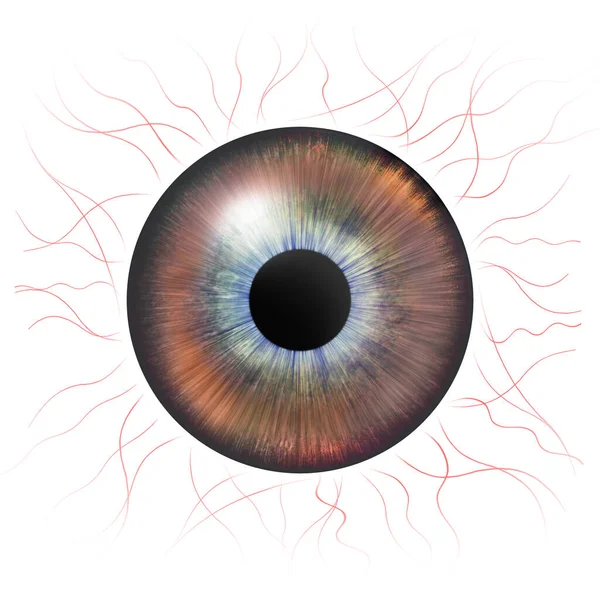Gözler Kan Damarları Olan Insan Iris Göz Çizimi Kahverengi Göz — Stok fotoğraf