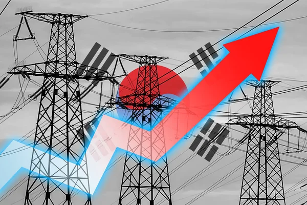 韩国的电力线路和国旗 能源危机 全球能源危机的概念 增加用电量 图表上的箭头向上移动 增加的电费 — 图库照片
