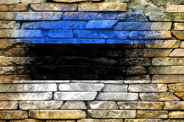 Bandiera Dell Estonia Bandiera Dipinta Muro Pietra Sfondo Pietra Textured — Foto Stock