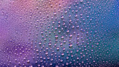 Water drops. Texture of the drops. Abstract gradient background. Multicolored blue purple rainbow gradient. Heavily textured image. Shallow depth of field. Selective soft focus