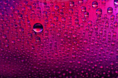Water drops. Droplet texture. Abstract gradient backdrop. Magenta gradient. Heavily textured image. Shallow depth of field. Selective soft focus