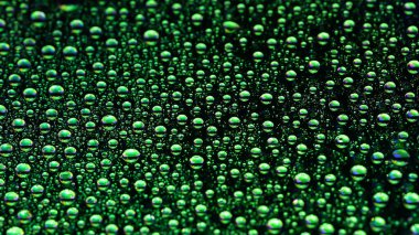 Drops of water. Abstract gradient backdrop Droplet texture. Green gradient. Textured image. Small depth of field. Selective soft focus