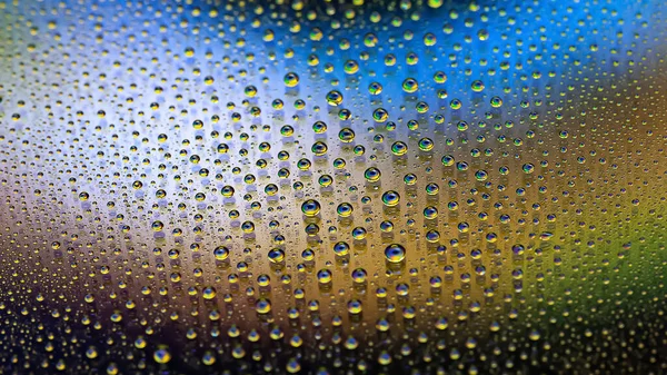 Water drops. Abstract gradient backdrop The texture of the drops. Multicolored gradient. Textured image. Small depth of field. Selective soft focus
