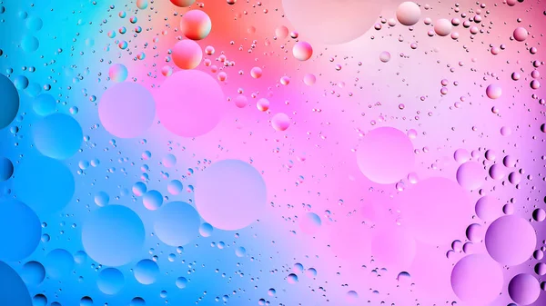 Drops of oil in water. Abstract rainbow background. Colored background of oil drops on the surface of the water. Macro abstraction