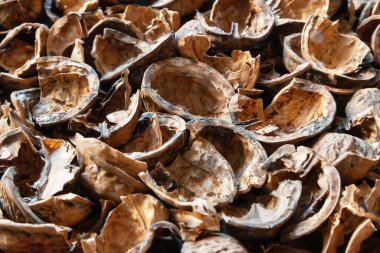 Nut shell. Empty walnut shell background. Texture of nuts. Selective soft focus