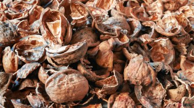 Nut shell. Empty walnut shell. Nuts texture background. Selective soft focus