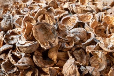 Nut shell. Empty walnut shell background. Nut texture close up. Selective soft focus