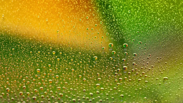 Gotas Água Fundo Gradiente Abstrato Textura Gota Colorida Gradiente Verde — Fotografia de Stock