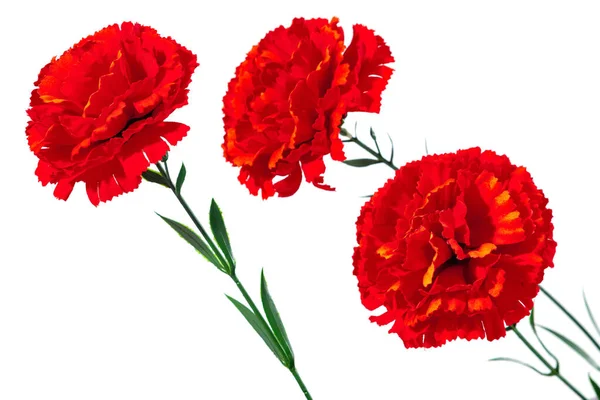 Cravo Vermelho Flores Plásticas Monte Flor Cravo Artificial Vermelho Fundo — Fotografia de Stock