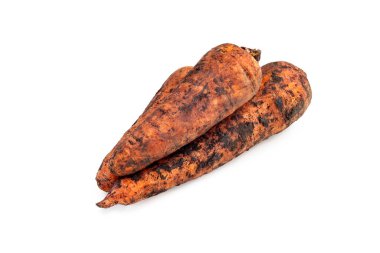 Pis havuç. Topraklı taze kazılmış havuç. Kirli havuç beyaz arka planda izole edilmiş. Kesme yolu