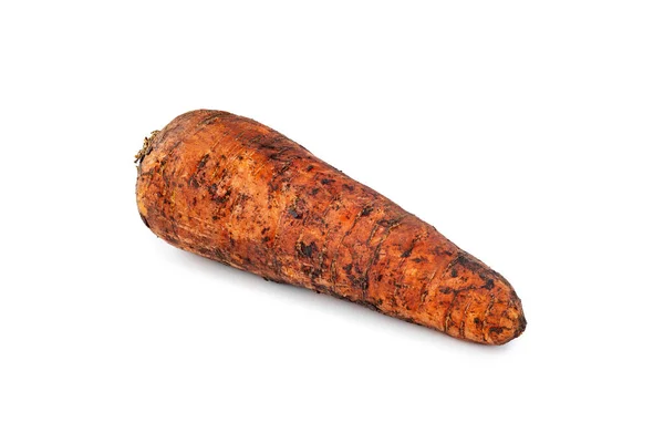 Zanahoria Recién Recolectada Zanahoria Sucia Con Tierra Aislada Sobre Fondo — Foto de Stock