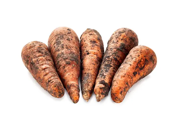Zanahorias Crudas Montón Zanahorias Con Tierra Zanahoria Sucia Aislada Sobre —  Fotos de Stock