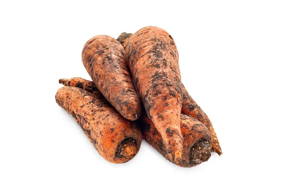 Raw Dirty Carrots Heap Carrots Ground Dirty Carrots Isolated White — Stock Photo, Image