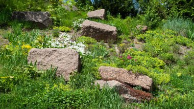 Büyük taşlar. Botanik bahçesinin yamacında büyük taşlar. Doğal arkaplan