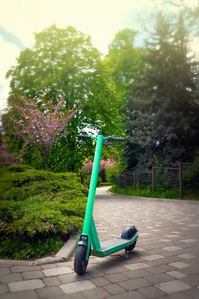 Elektrikli Scooter Kiralık Scooter Scooter Park Sokağında Kaldı Şehir Taşımacılığı — Stok fotoğraf