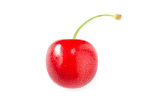 Sweet Cherry One Cherry White Background Selective Soft Focus — Stock Photo, Image