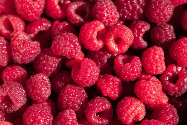 stock image Ripe raspberries. Raspberry background. Banner of fresh ripe organic raspberries. Juicy berry. Selective focus