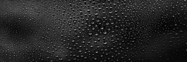 Water drops banner. Abstract gradient background. Droplet texture. Black gradient. Heavily textured image. Shallow depth of field. Selective soft focus