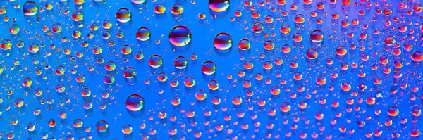 Water drops banner. Abstract gradient background. Droplet texture. Rainbow gradient. Heavily textured image. Shallow depth of field. Selective soft focus