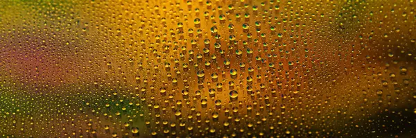 Water drops. Abstract gradient banner. Droplet texture. Yellow gradient. Heavily textured image. Shallow depth of field. Selective soft focus